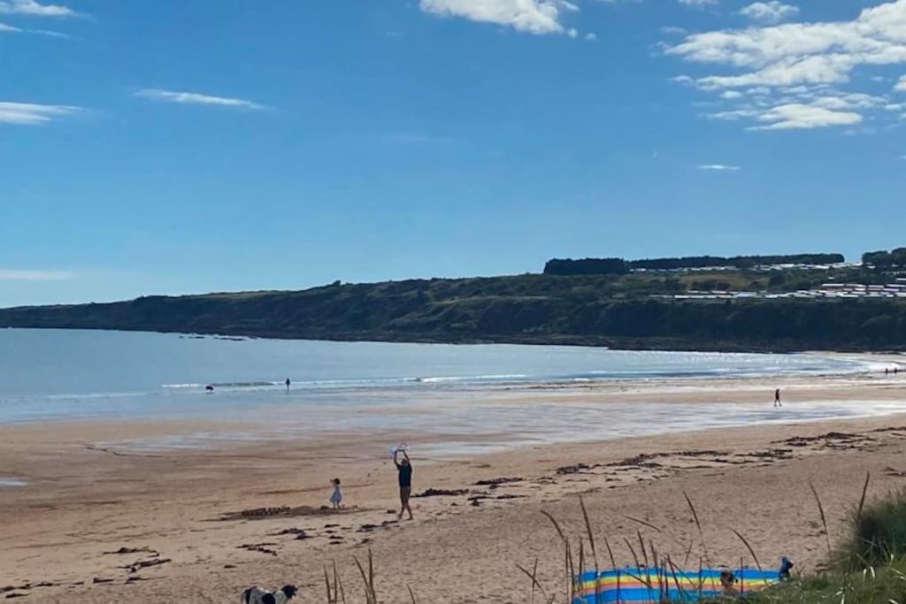 Lovely House & Garden, Short Walk To Town & Beach. St Andrews Esterno foto
